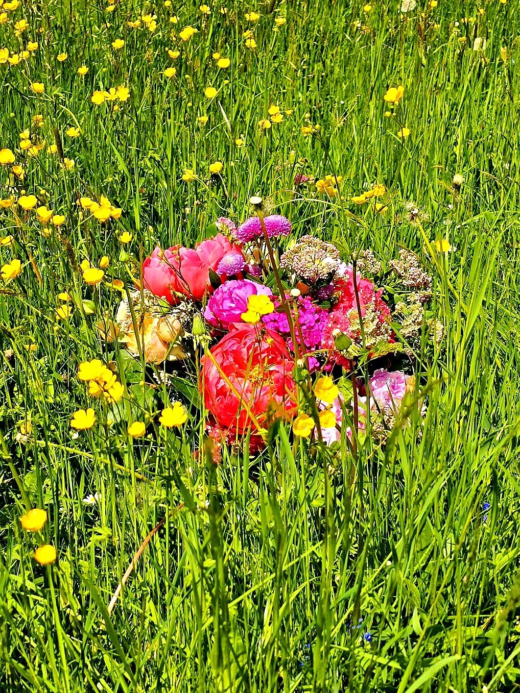 Éclat Champêtre_improve