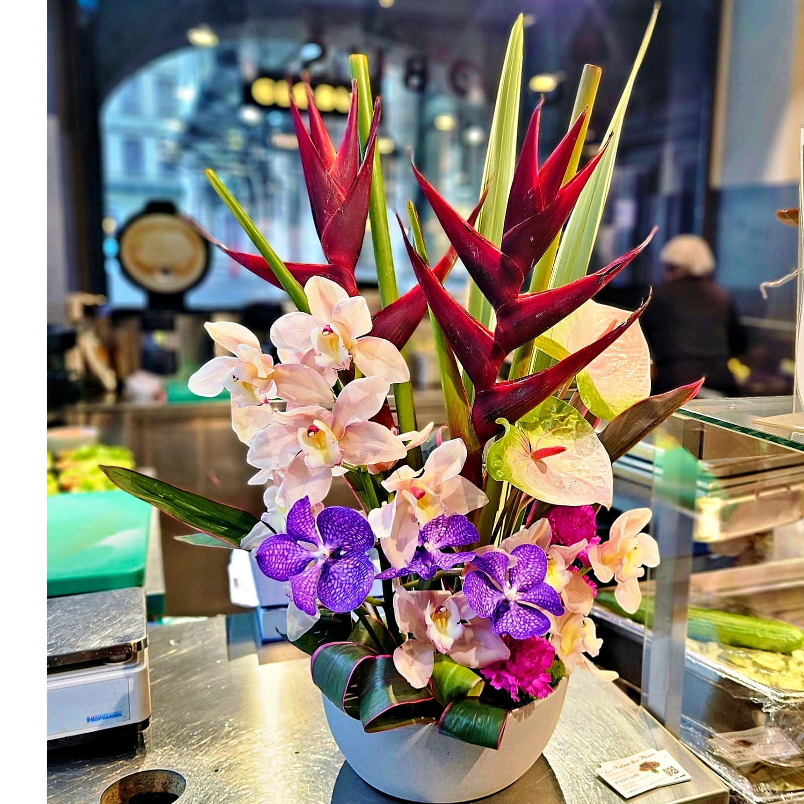 Éclat Tropical_improve